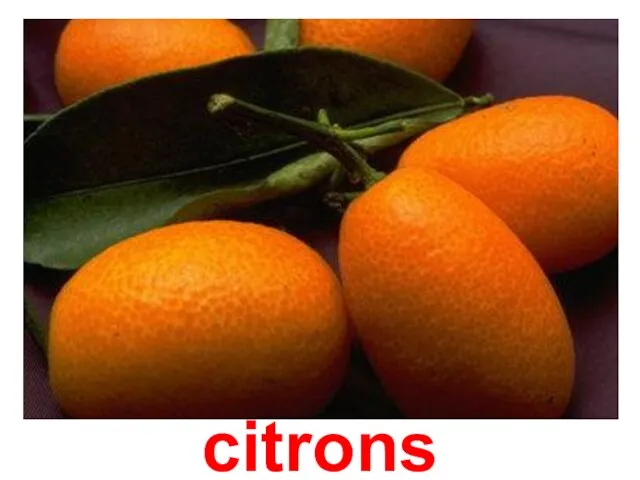 citrons