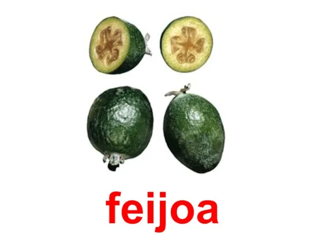 feijoa