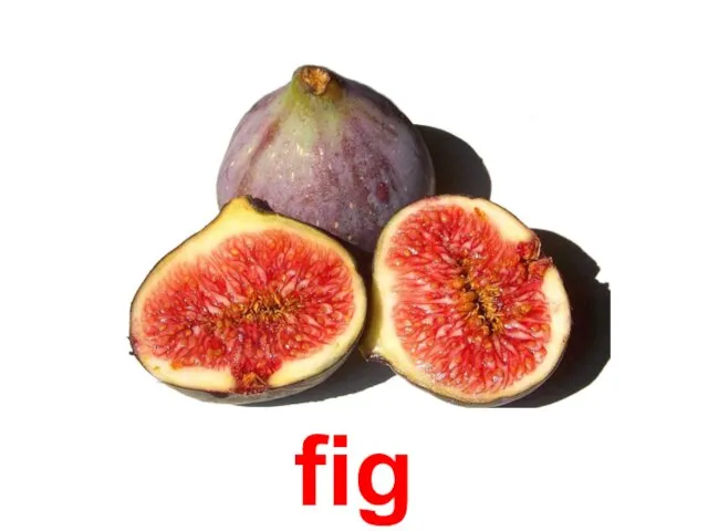 fig