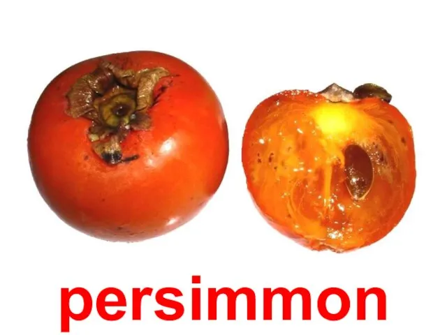 persimmon