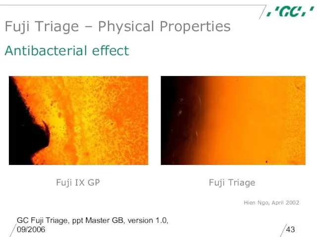 GC Fuji Triage, ppt Master GB, version 1.0, 09/2006 Hien Ngo, April