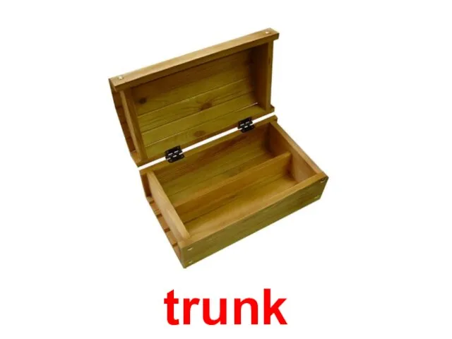 trunk