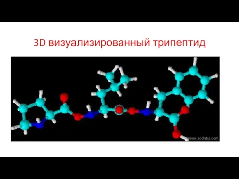 3D визуализированный трипептид