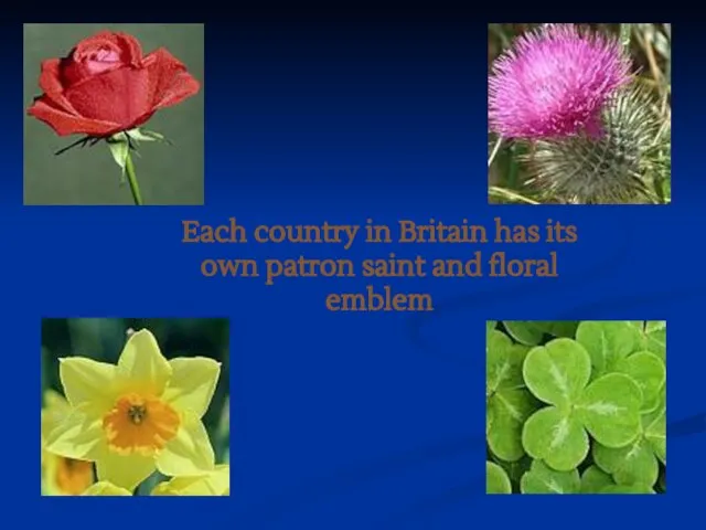 Each country in Britain has its own patron saint and floral emblem