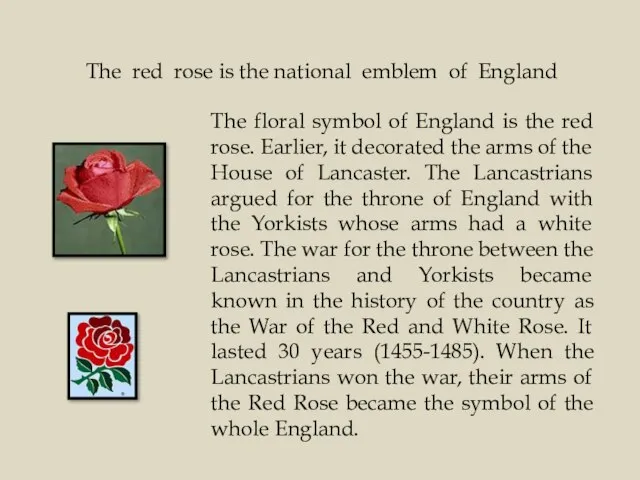 The red rose is the national emblem of England The floral symbol