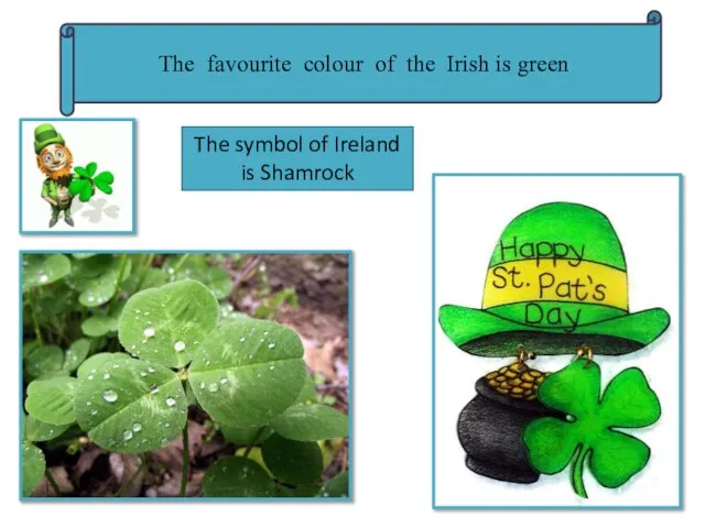 The favourite colour of the Irish is green The symbol of Ireland is Shamrock