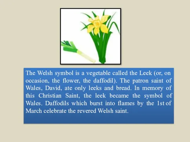 The Welsh symbol is a vegetable called the Leek (or, on occasion,