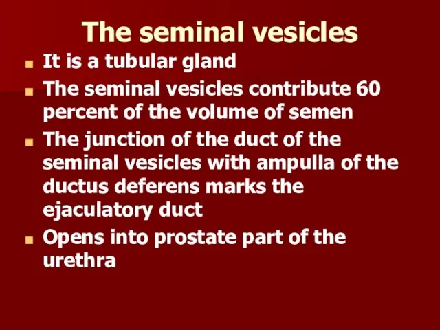 The seminal vesicles It is a tubular gland The seminal vesicles contribute