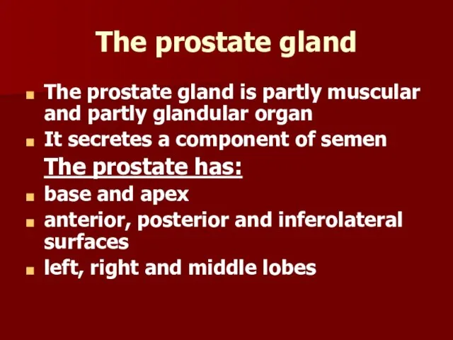 The prostate gland The prostate gland is partly muscular and partly glandular