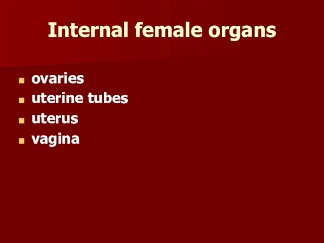 Internal female organs ovaries uterine tubes uterus vagina