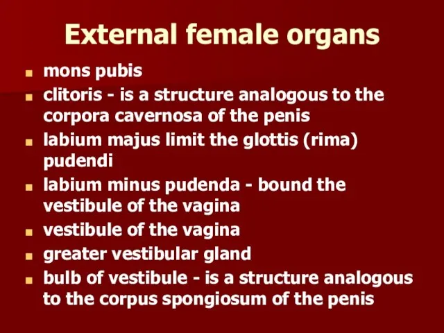 External female organs mons pubis clitoris - is a structure analogous to