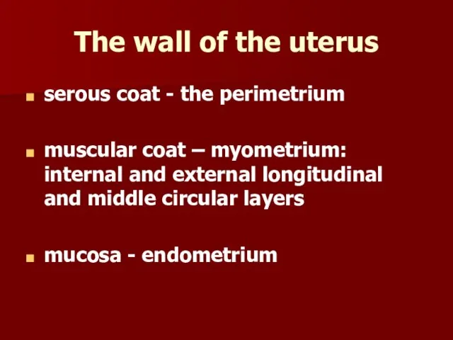 The wall of the uterus serous coat - the perimetrium muscular coat