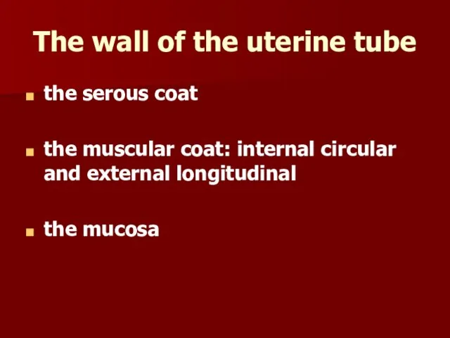 The wall of the uterine tube the serous coat the muscular coat: