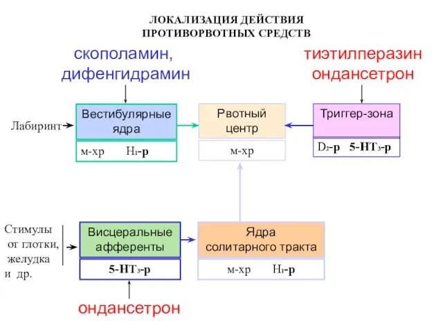 ЛОКАЛИЗАЦИЯ ДЕЙСТВИЯ ПРОТИВОРВОТНЫХ СРЕДСТВ Лабиринт Вестибулярные ядра Рвотный центр м-хр Н1-р м-хр