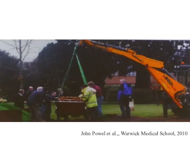 John Powel et al.,, Warwick Medical School, 2010