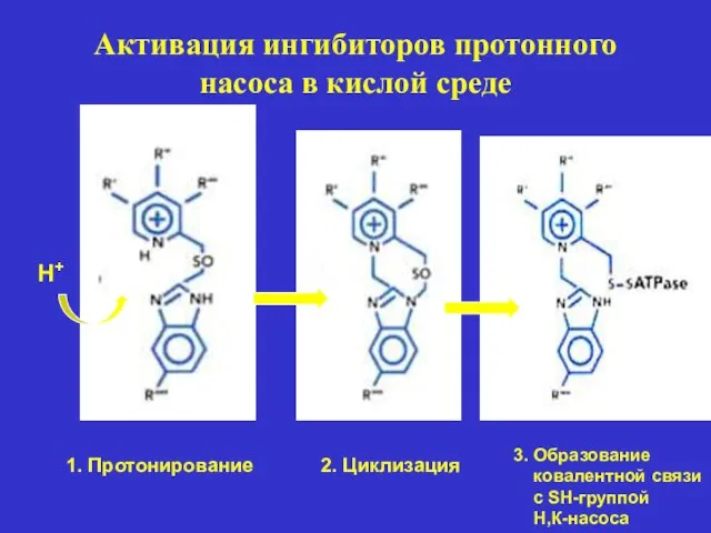 Активация ингибиторов протонного насоса в кислой среде Н+ 1. Протонирование 2. Циклизация