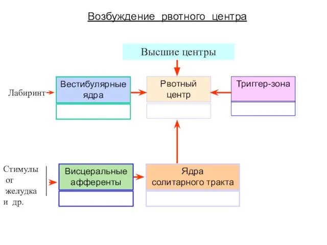 Возбуждение рвотного центра Лабиринт Вестибулярные ядра Рвотный центр Триггер-зона Висцеральные афференты Ядра