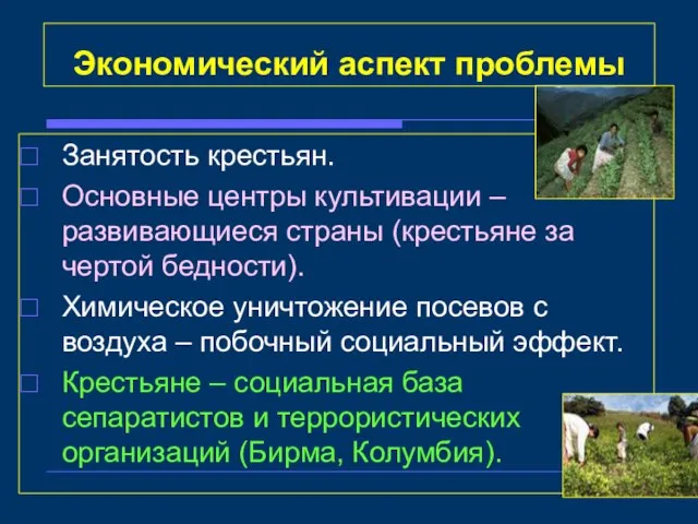 Экономический аспект проблемы Занятость крестьян. Основные центры культивации – развивающиеся страны (крестьяне