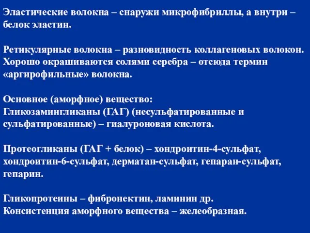 Эластические волокна – снаружи микрофибриллы, а внутри – белок эластин. Ретикулярные волокна