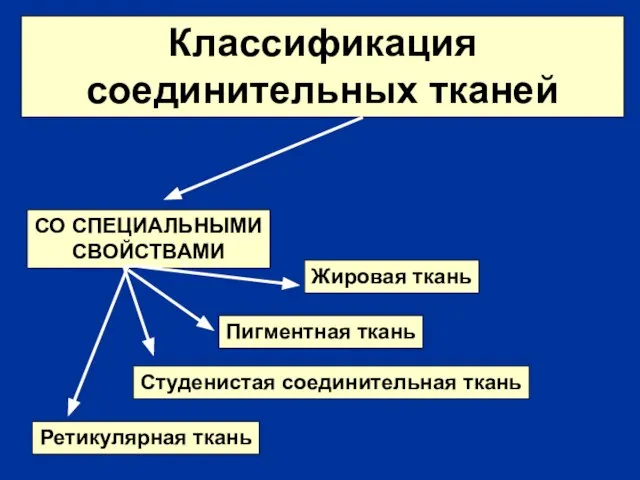 Классификация соединительных тканей СО СПЕЦИАЛЬНЫМИ СВОЙСТВАМИ Жировая ткань Пигментная ткань Ретикулярная ткань Студенистая соединительная ткань