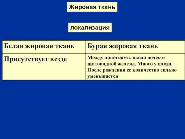 Жировая ткань локализация