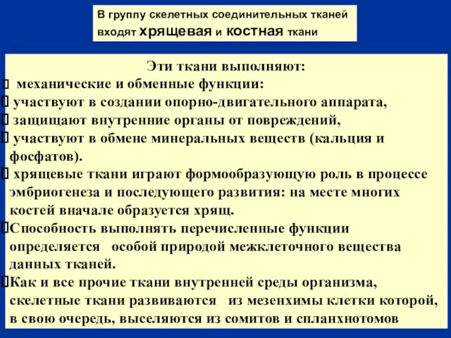 В группу скелетных соединительных тканей входят хрящевая и костная ткани Эти ткани