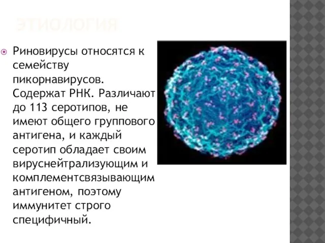 ЭТИОЛОГИЯ Риновирусы относятся к семейству пикорнавирусов. Содержат РНК. Различают до 113 серотипов,