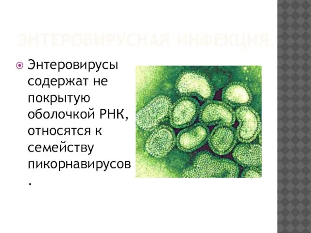 ЭНТЕРОВИРУСНАЯ ИНФЕКЦИЯ. Энтеровирусы содержат не покрытую оболочкой РНК, относятся к семейству пикорнавирусов.