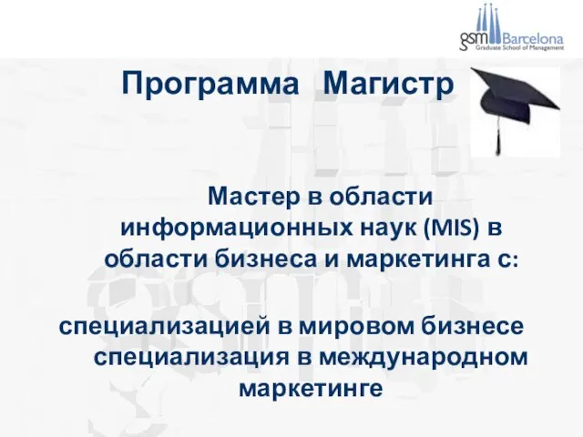 Программа Магистр Мастер в области информационных наук (MIS) в области бизнеса и