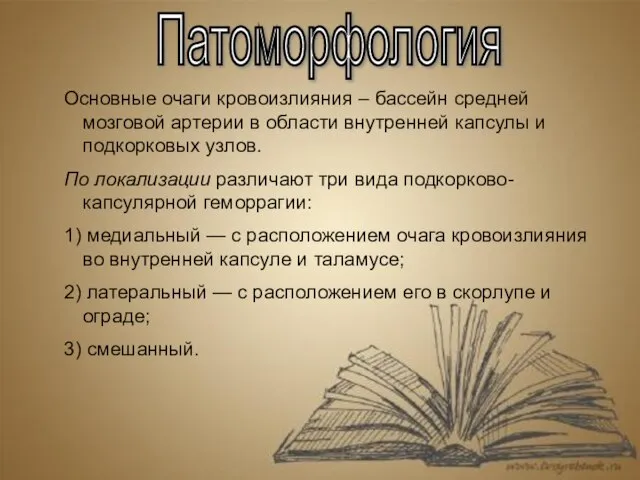 Основные очаги кровоизлияния – бассейн средней мозговой артерии в области внутренней капсулы