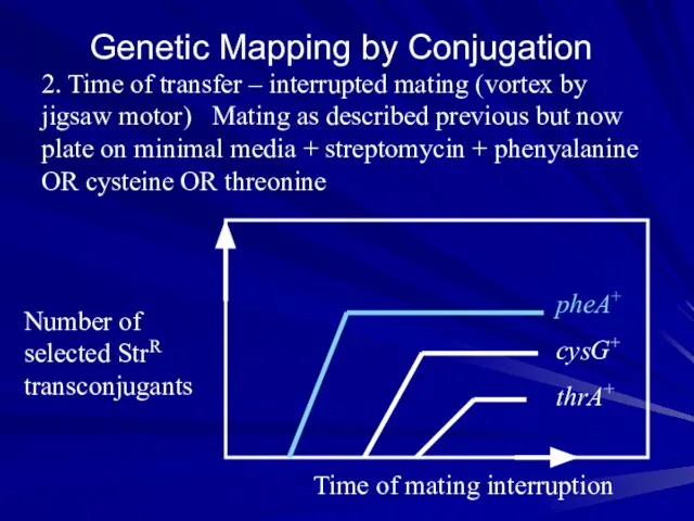 Genetic Mapping by Conjugation 2. Time of transfer – interrupted mating (vortex