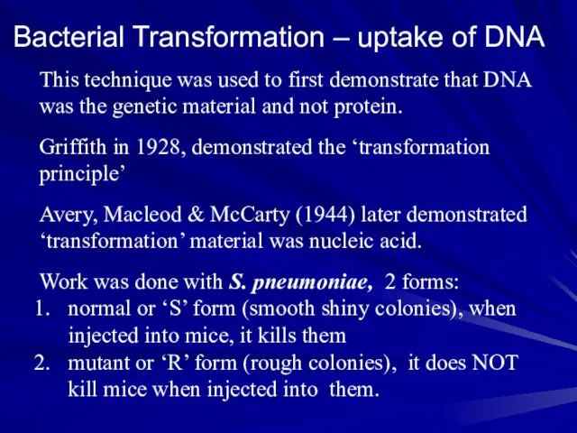 Bacterial Transformation – uptake of DNA This technique was used to first