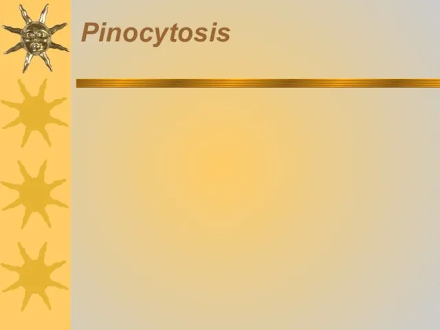 Pinocytosis