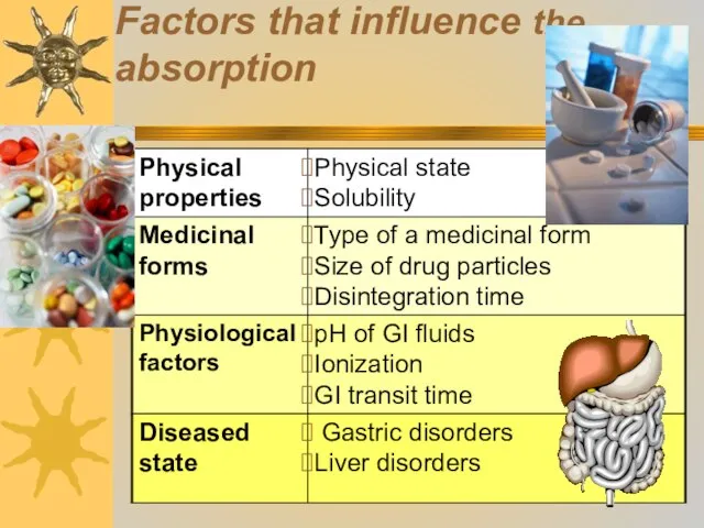 Factors that influence the absorption