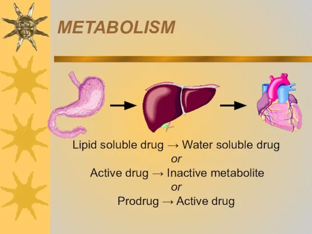 METABOLISM