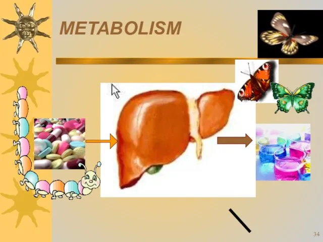 Biotransformation of drugs (drug metabolism) METABOLISM deactivation