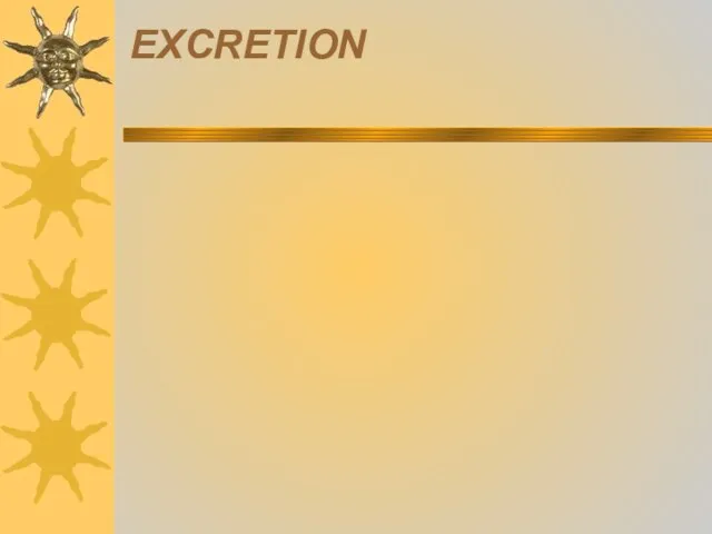 EXCRETION