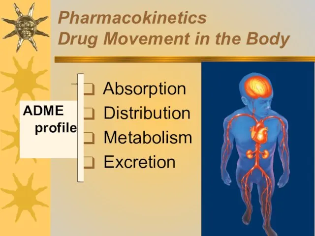 Pharmacokinetics Drug Movement in the Body Absorption Distribution Metabolism Excretion ADME profile