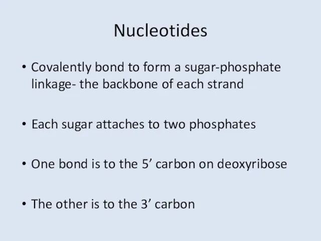 Nucleotides Covalently bond to form a sugar-phosphate linkage- the backbone of each