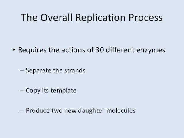 The Overall Replication Process Requires the actions of 30 different enzymes Separate