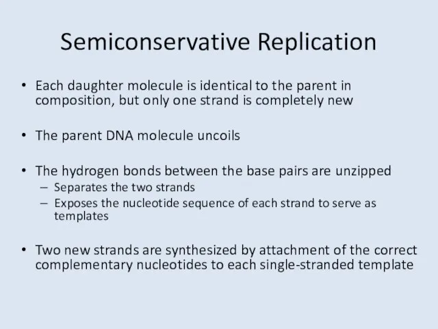 Semiconservative Replication Each daughter molecule is identical to the parent in composition,