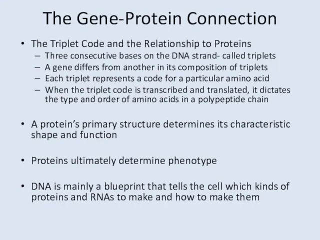 The Gene-Protein Connection The Triplet Code and the Relationship to Proteins Three