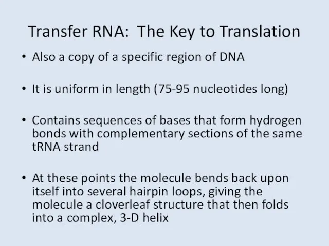 Transfer RNA: The Key to Translation Also a copy of a specific