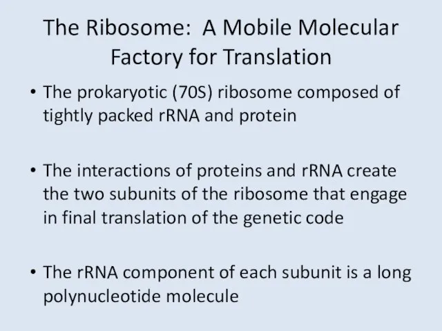 The Ribosome: A Mobile Molecular Factory for Translation The prokaryotic (70S) ribosome