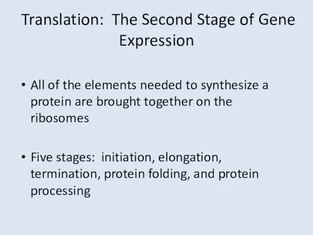 Translation: The Second Stage of Gene Expression All of the elements needed