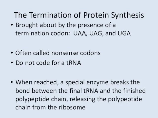 The Termination of Protein Synthesis Brought about by the presence of a