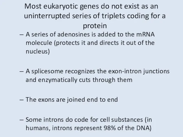 Most eukaryotic genes do not exist as an uninterrupted series of triplets