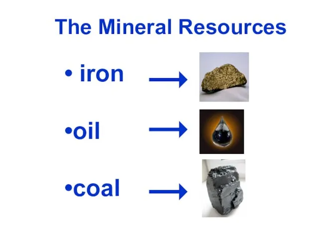 The Mineral Resources iron oil coal