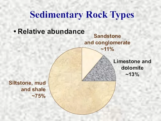 Sedimentary Rock Types Relative abundance