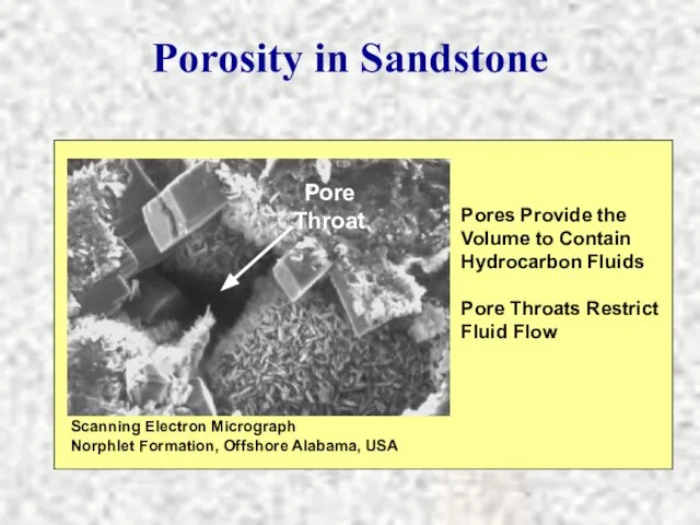 Scanning Electron Micrograph Norphlet Formation, Offshore Alabama, USA Pores Provide the Volume